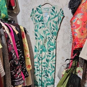 Cato’s Maxi Medium Dress